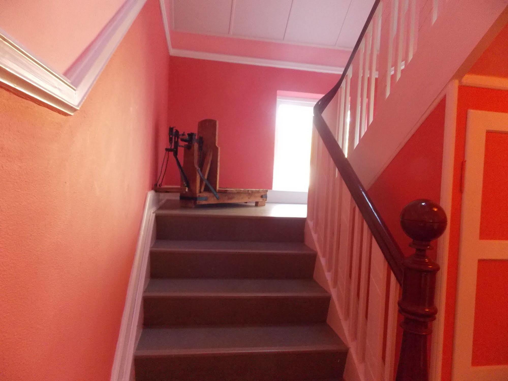 Nygammelso Bed & Breakfast Stege Kültér fotó