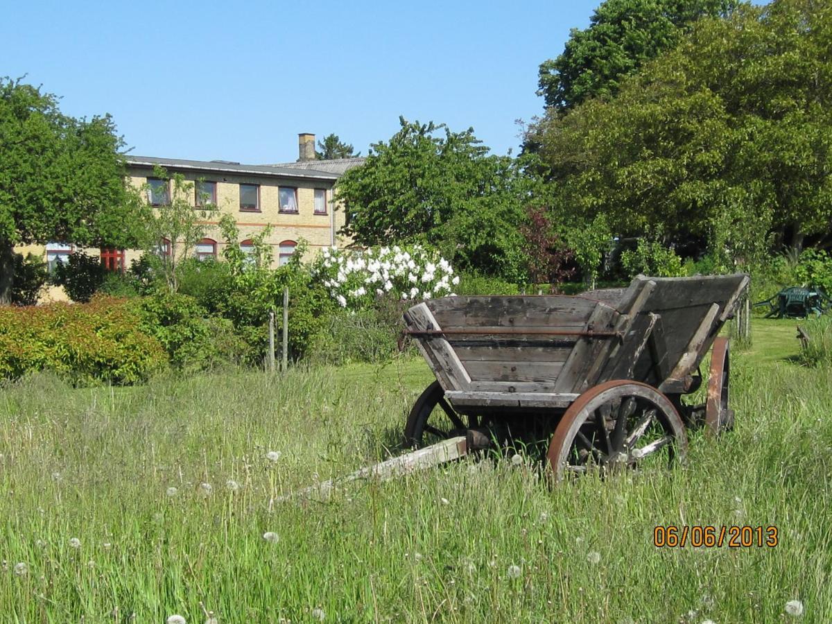 Nygammelso Bed & Breakfast Stege Kültér fotó